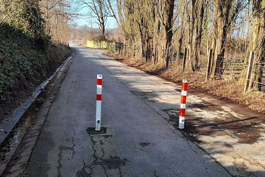 Poller auf Radweg Zwei Poller stehen auf Radweg