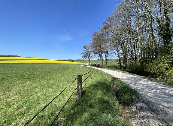 Niederbergische Landschaft im Frühling