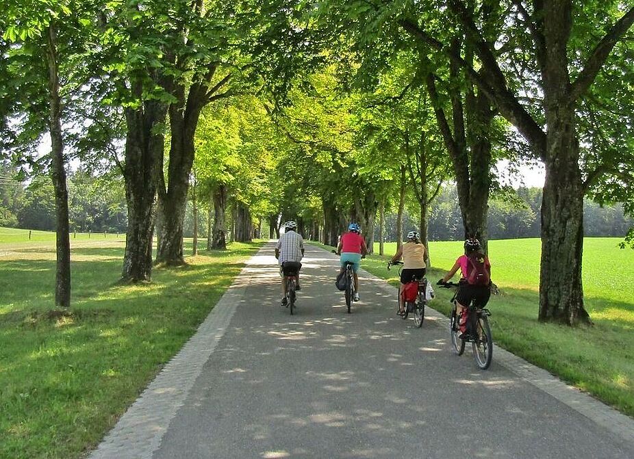 Radtour auf Radweg Radfahrer auf Radweg im Grünen